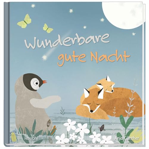 Wunderbare gute Nacht: Bilderbuch