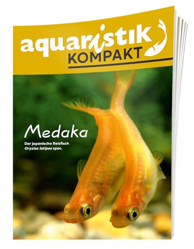 Medaka - aquaristik KOMPAKT - Der japanische Reisfisch Oryzias latipes spec. von Dähne Verlag