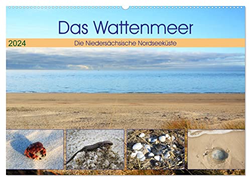 Das Wattenmeer - 2024 (Wandkalender 2024 DIN A2 quer), CALVENDO Monatskalender