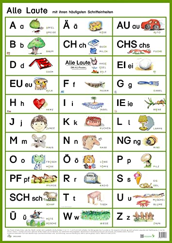 Alle Laute mit ihren häufigsten Schrifteinheiten: Basiskonzept Lesen, großes Poster DIN A1, komplette Ökoproduktion.: Übersichtsposter DIN A1. Basiskonzept® von Institut f.sprachl.Bildu