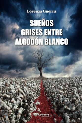 Sueños grises entre algodón blanco (Novela romántica, Band 1) von Letrame