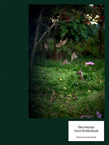 Terri Weifenbach - Des Oiseaux