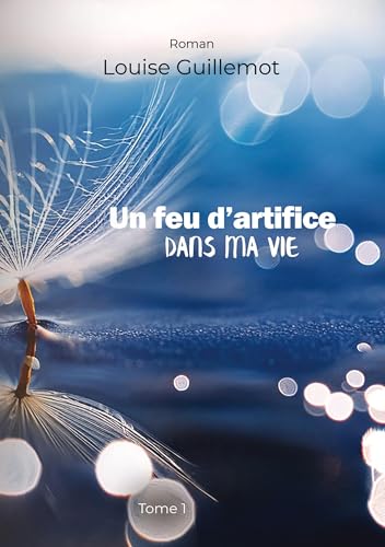 Un feu d'artifice dans ma vie: Tome 1 - Foncer ou s'enfoncer von Books on Demand