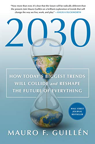 2030: How Today's Biggest Trends Will Collide and Reshape the Future of Everything von St. Martin's Press
