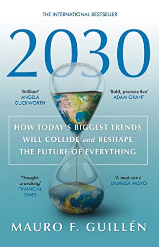 2030: How Today's Biggest Trends Will Collide and Reshape the Future of Everything von The History Press Ltd