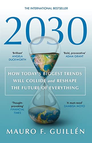 2030: How Today's Biggest Trends Will Collide and Reshape the Future of Everything von Flint
