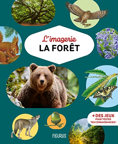 L'imagerie - La forêt von FLEURUS