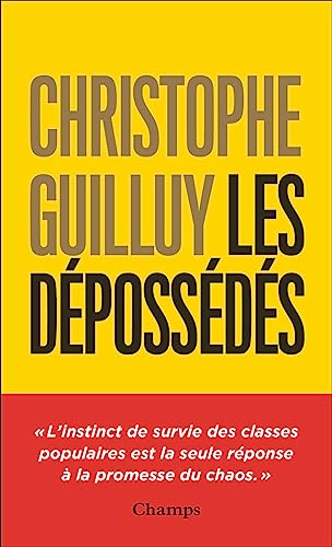 Les dépossédés: L'instinct de survie des classes populaires von FLAMMARION