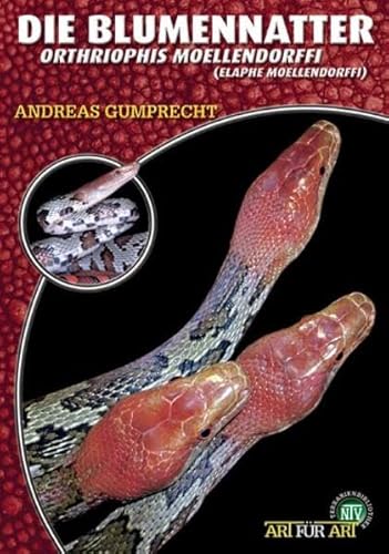 Die Blumennatter: Orthriophis moellendorffi bzw. Elaphe moellendorffi (Buchreihe Art für Art Terraristik)