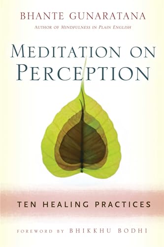 Meditation on Perception: Ten Healing Practices to Cultivate Mindfulness von Wisdom Publications