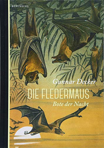 Die Fledermaus: Bote der Nacht