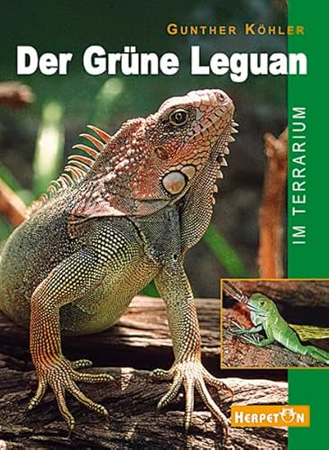 Der Grüne Leguan im Terrarium: Pflege und Zucht von Herpeton Verlag