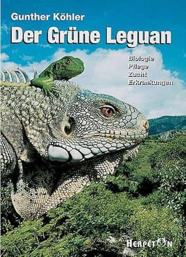 Der Grüne Leguan. Biologie Pflege Zucht Erkrankungen.