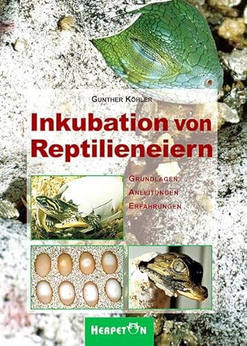 Inkubation von Reptilieneiern: Grundlagen, Anleitungen und Erfahrungen: Grundlagen - Anleitungen - Erfahrungen von Herpeton Verlag