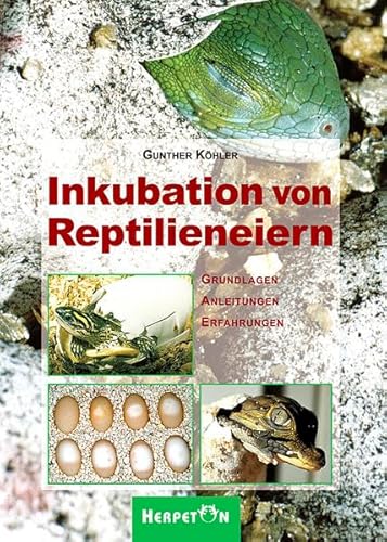 Inkubation von Reptilieneiern: Grundlagen, Anleitungen und Erfahrungen: Grundlagen - Anleitungen - Erfahrungen