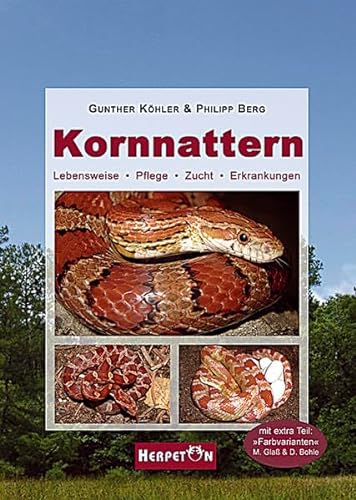 Kornnattern: Lebensweise, Pflege, Zucht, Erkrankungen von Herpeton Verlag