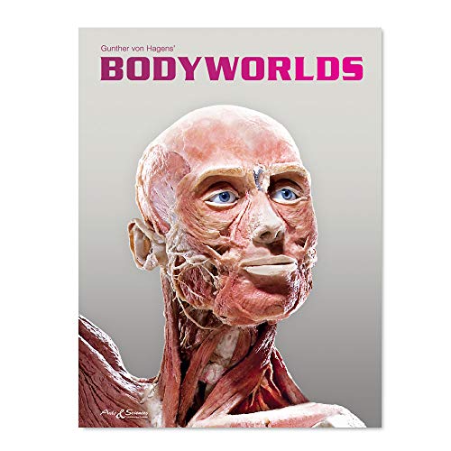 BODY WORLDS - The Original Exhibition (English): The Original Exhibition of Real Human Bodies von Arts & Sciences