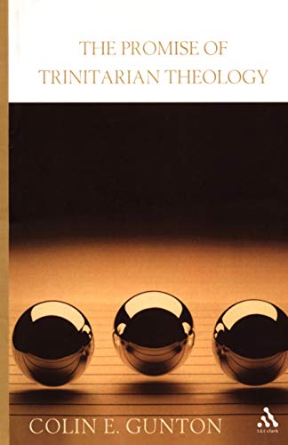Promise of Trinitarian Theology von T&T Clark