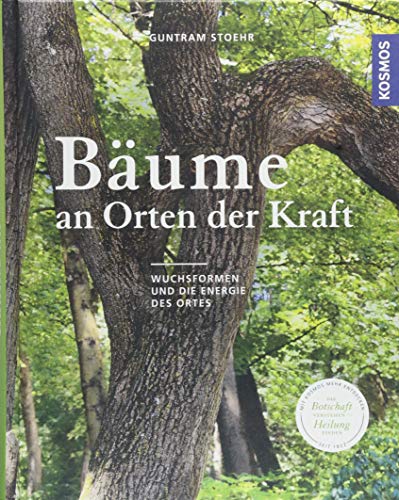 Bäume an Orten der Kraft: Wuchsformen und die Energie des Ortesn