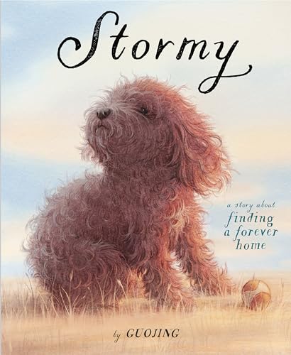 Stormy: A Story About Finding a Forever Home von Schwartz & Wade