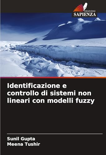 Identificazione e controllo di sistemi non lineari con modelli fuzzy von Edizioni Sapienza