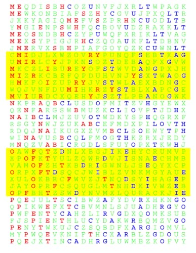 Catchword Puzzles: Catch 334 von Independently published