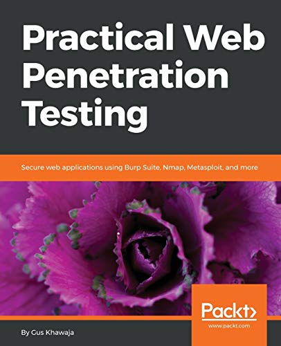 Practical Web Penetration Testing von Packt Publishing