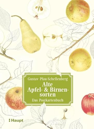 Alte Apfel- & Birnensorten - Das Postkartenbuch von Haupt Verlag AG