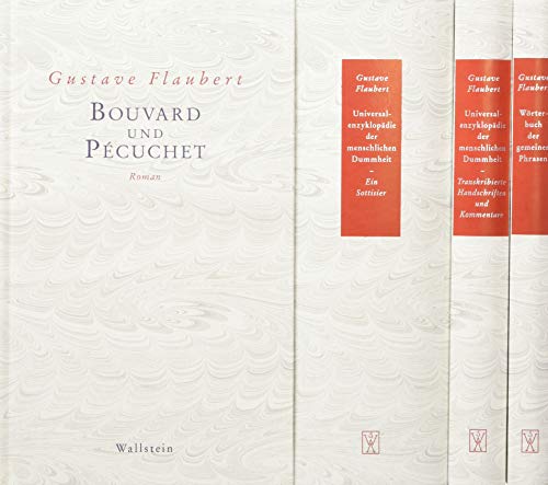 Bouvard und Pécuchet: Der Werkkomplex Bouvard und Pécuchet: Der Werkkomplex von Wallstein Verlag GmbH