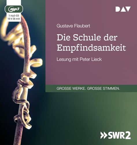 Die Schule der Empfindsamkeit: Lesung mit Peter Lieck (1 mp3-CD)