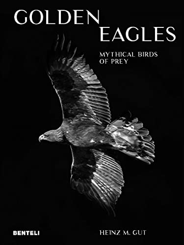 Golden Eagles: Legendary Birds of Prey von Benteli