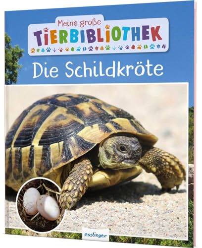 Meine große Tierbibliothek: Die Schildkröte: Sachbuch für Vorschule & Grundschule von Esslinger Verlag