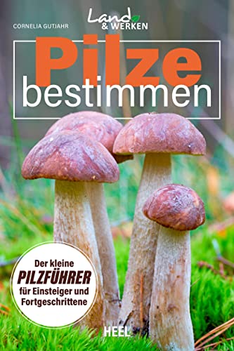 Pilze bestimmen - Der kleine Pilzführer für Einsteiger und Fortgeschrittene: Land & Werken - Die Reihe für Nachhaltigkeit und Selbstversorgung Pilze bestimmen - Der kleine Pilzführer für Einsteiger und Fortgeschrittene: Land & Werken - Die Reihe für Nachhaltigkeit und Selbstversorgung