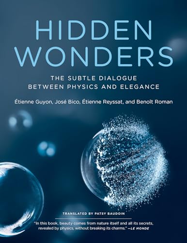 Hidden Wonders: The Subtle Dialogue Between Physics and Elegance von MIT Press