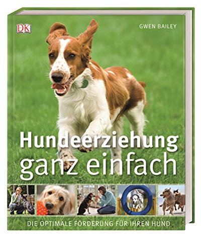 Hundeerziehung ganz einfach: Die optimale Förderung für Ihren Hund