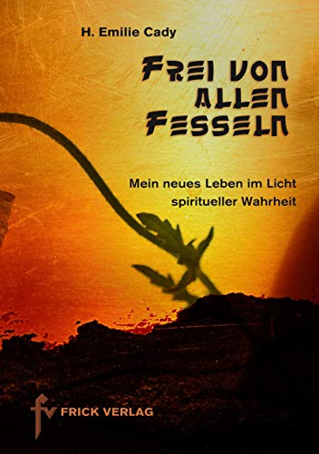 Frei von allen Fesseln: Mein neues Leben im Licht spiritueller Wahrheit