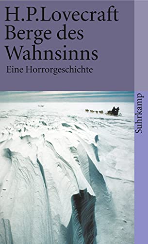 Berge des Wahnsinns: Eine Horrorgeschichte (suhrkamp taschenbuch)