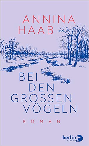 Bei den großen Vögeln: Roman