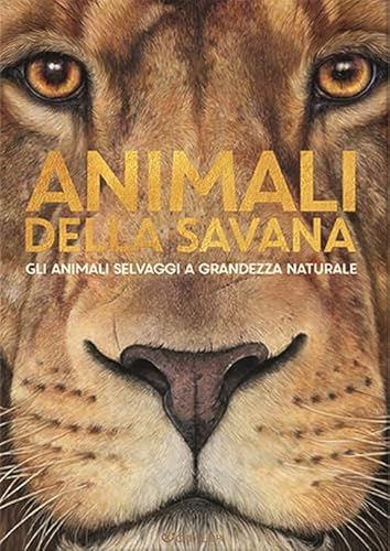 Animali della savana. Gli animali selvaggi a grandezza naturale. Ediz. a colori (Star) von Crealibri