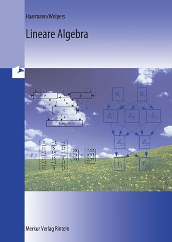 Lineare Algebra: Fachgymnasien, berufliche Gymnasien und BOS von Merkur Verlag