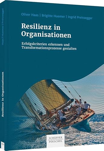 Resilienz in Organisationen: Erfolgskriterien erkennen und Transformationsprozesse gestalten