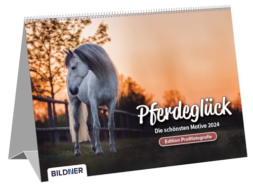 Pferde Kalender 2024 Pferdeglück! Die schönsten Pferdemotive und Aufnahmen 2024: Tischkalender mit Wire-O-Bindung und auffaltbarer Stütze ... / Pferdekalender – Edition Profifotografie von BILDNER Verlag