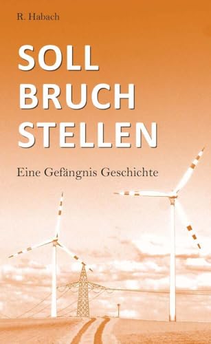 Sollbruchstellen: Eine Gefängnis Geschichte von Buchschmiede von Dataform Media GmbH