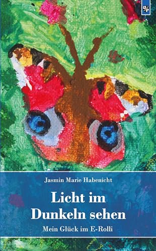 Licht im Dunkeln sehen: Mein Glück im E-Rolli von Bernardus Verlag
