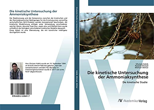 Die kinetische Untersuchung der Ammoniaksynthese: Die kinetische Studie von AV Akademikerverlag