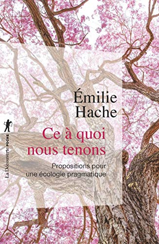 Ce à quoi nous tenons: Propositions pour une écologie pragmatique