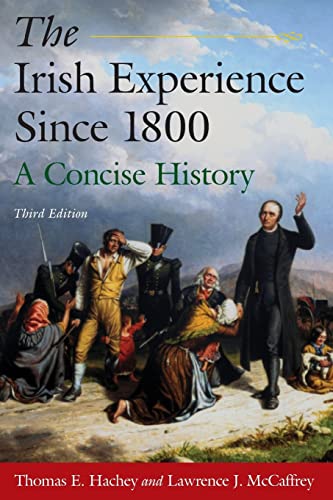 The Irish Experience Since 1800: A Concise History