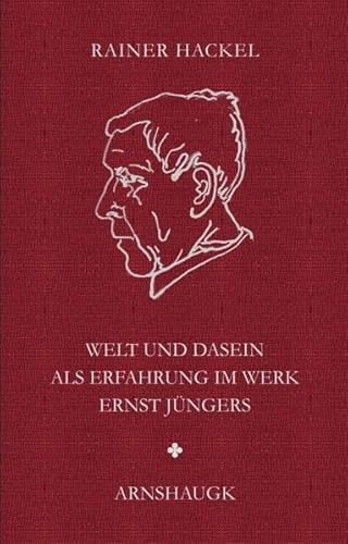 Welt und Dasein als Erfahrung im Werk Ernst Jüngers: Ein Essay