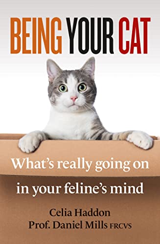 Being Your Cat: What's really going on in your feline's mind von Cassell
