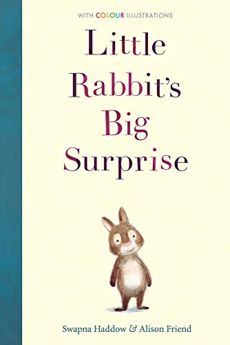 Little Rabbit's Big Surprise (Colour Fiction, Band 1) von Stripes Publishing